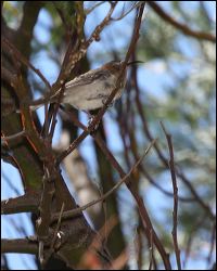 img_8148a