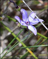 img_8160a