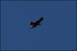 img_8178