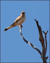 img_8200a