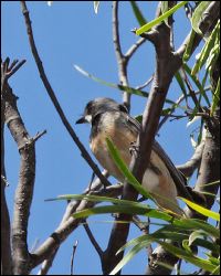 img_8209a