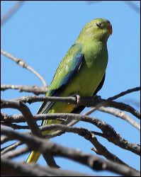 img_8231a