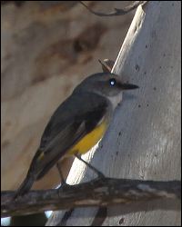 img_8243b