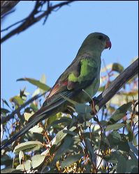 img_8261a