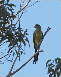 img_8265a