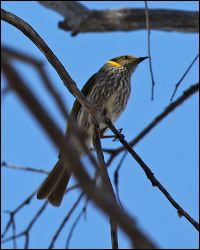 img_8300a