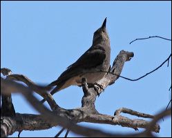 img_8313a