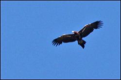 img_8317a