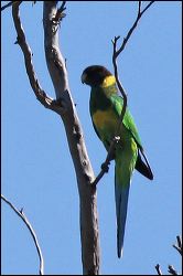 img_8319a