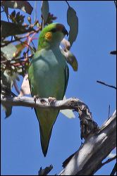 img_8332a