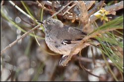 img_8348a