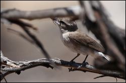 img_8380b