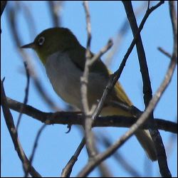 img_8422a