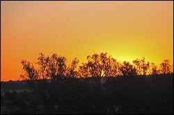 img_8442a