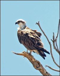 img_8474a