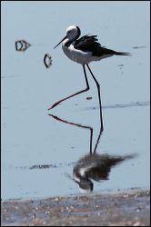 img_8482a