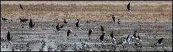 img_8524a