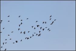 img_8538