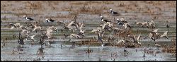 img_8566a