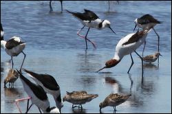 img_8578a