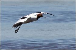 img_8579a