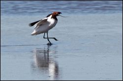 img_8580a