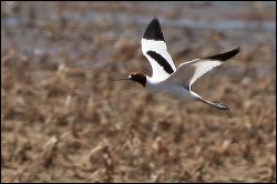 img_8584a