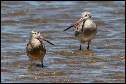 img_8633a