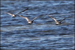 img_8637a