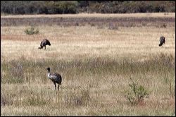 img_8651a