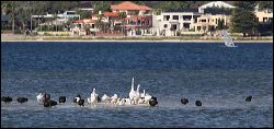 img_8689a