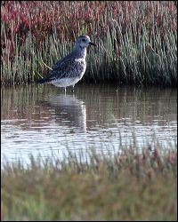 img_8721a