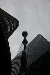 img_8778