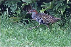 img_9108ajpg