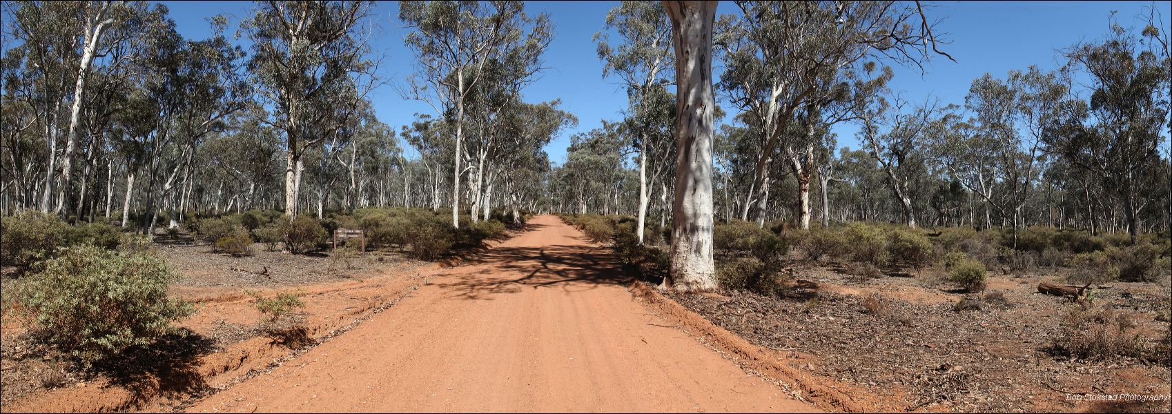 00_dryandra_pano_2.jpg