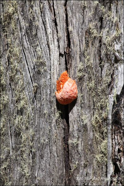 img_7283.jpg