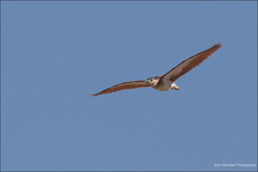 img_7888a.jpg