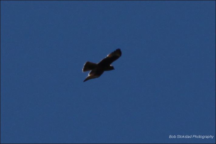 img_8178.jpg