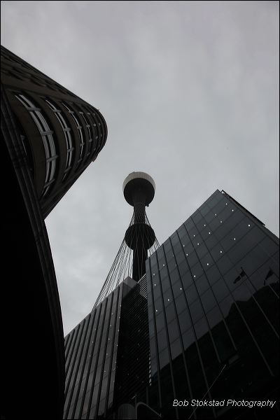 img_8778.jpg