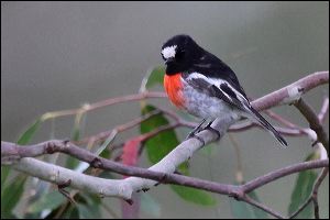 img_6847a
