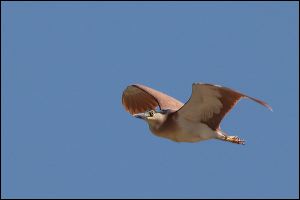 img_7891