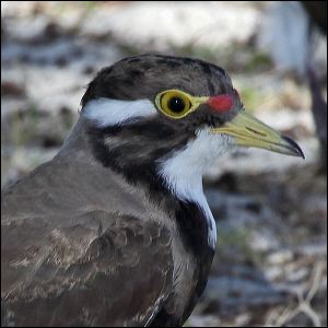 img_8686b