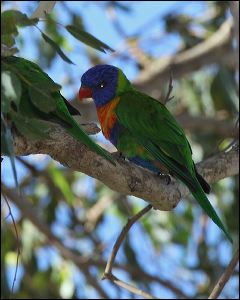 img_8031b