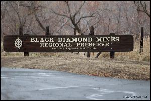 01_20120121_rgs_7802