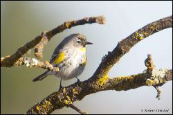08_20120204_rgs_8815