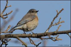 11_20120204_rgs_8825