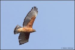21_20120204_rgs_8848