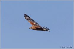 23_20120204_rgs_8850