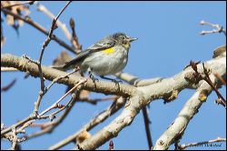 30_20120204_rgs_8871