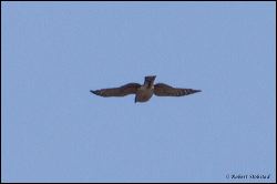 32_20120204_rgs_8879